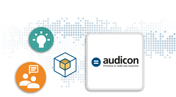 Audicon – Precision in Audit and Analytics