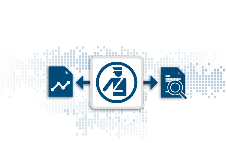 Digitale Zollprüfungen - Was sind typische Herausforderungen?