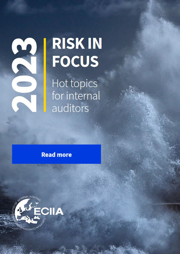 DIIR Risk in Focus 2023